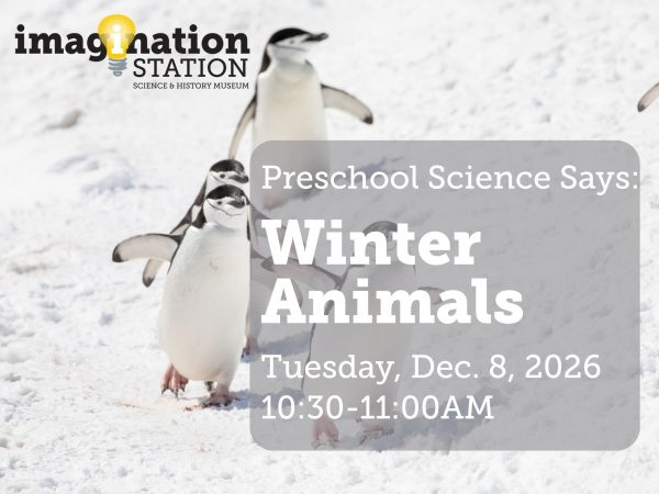 Preschool Science: Winter Animals