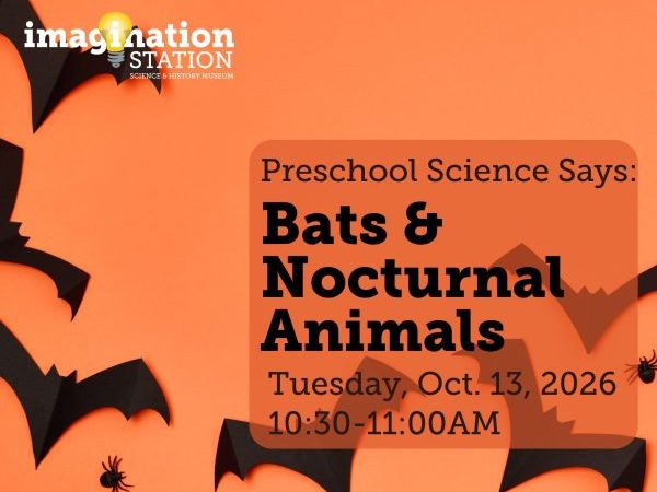 Preschool Science Nocturnal Animals