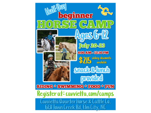Half Day Beginner Horse Camp